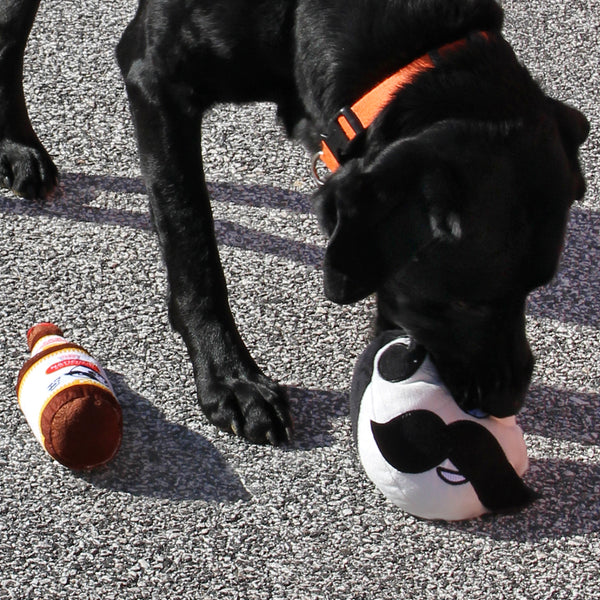 Official Baltimore Orioles Pet Gear, Orioles Collars, Leashes, Chew Toys