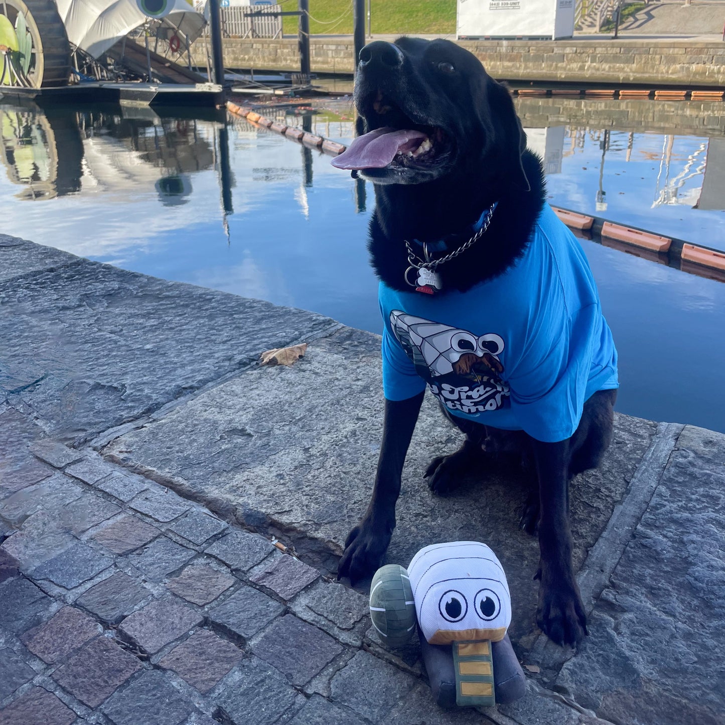 **PRE-ORDER** Mr. Trash Wheel / Stuffed Toy Plushie (Estimated Ship Date: 12/2/2024)