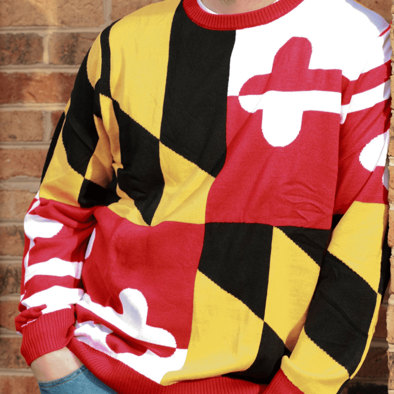 Maryland Flag Pattern / Knit Sweater