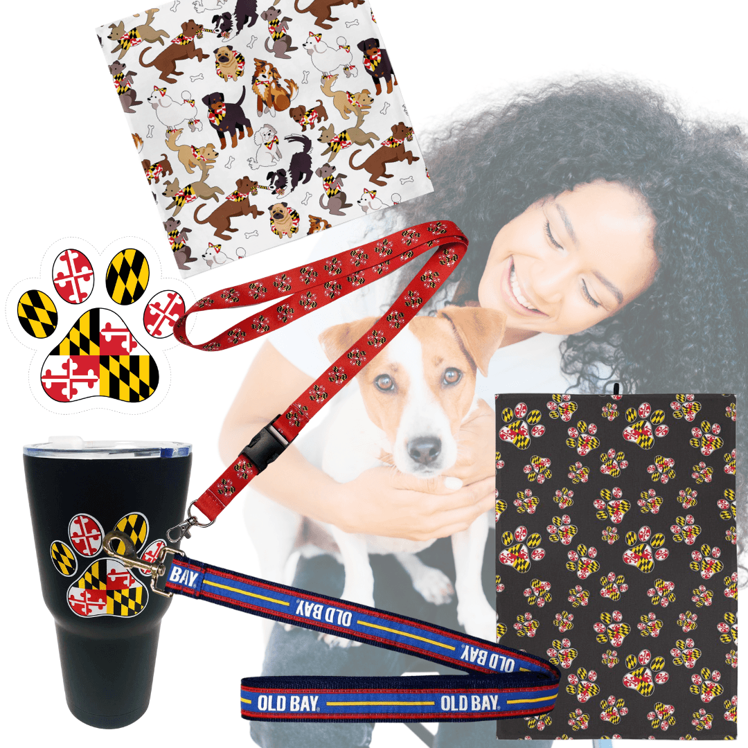 Dog Owner Must Haves / Bundle ($89 Value)